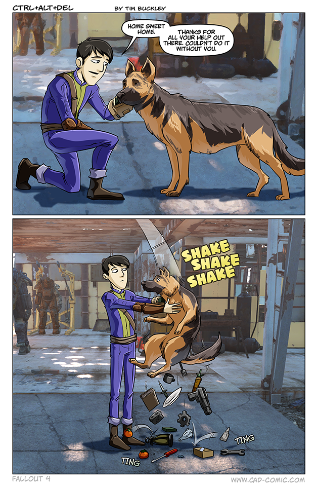 Companion