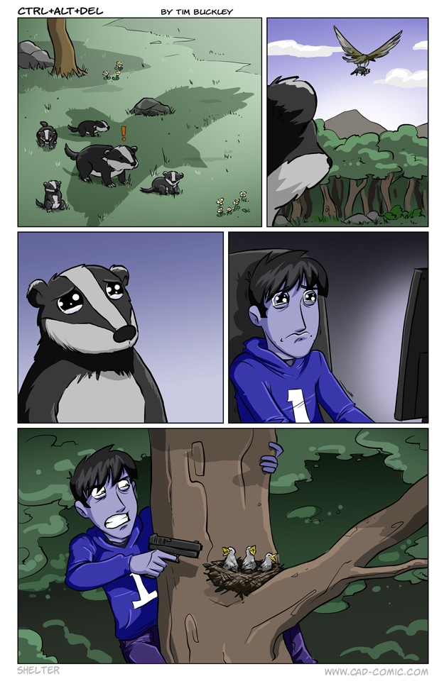 Shelter