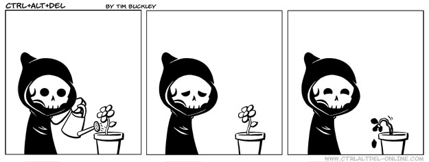Sillies 245