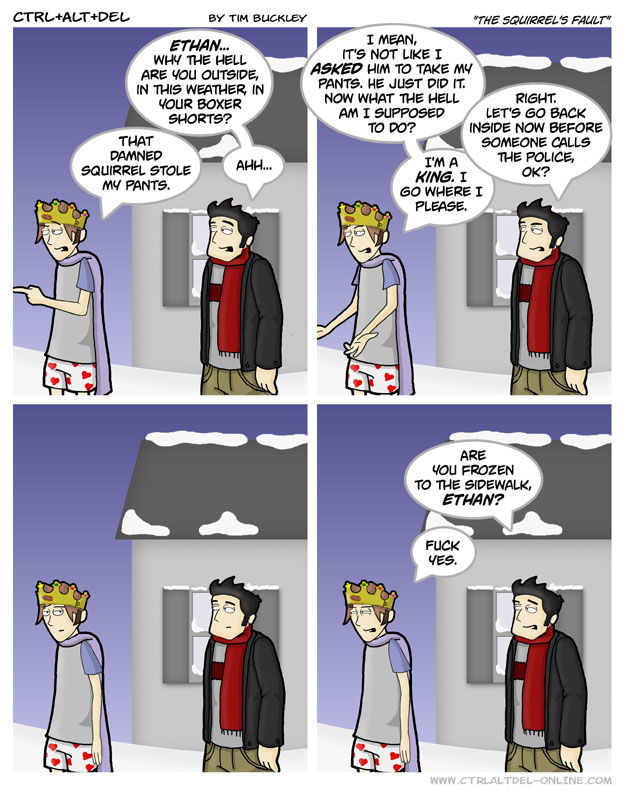 The squirrel’s fault